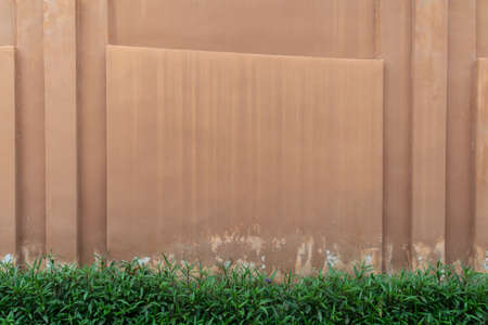 Brown stone wall background with green plant foreground.の写真素材
