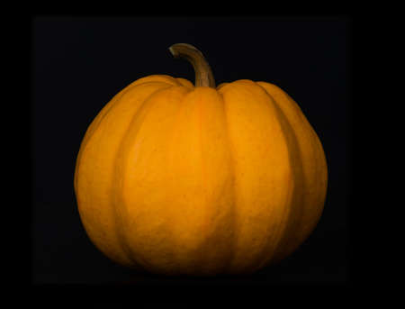 A Pumpkin isolated on black background.の写真素材