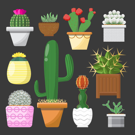 Various cactus plants in pots set with colorful on dark gray background.のイラスト素材