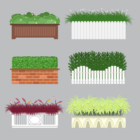 Set of bush in different pot on gray background.のイラスト素材