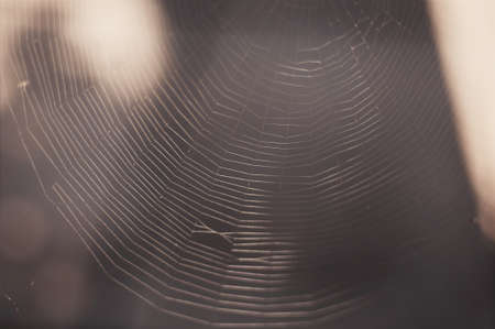 natureの写真素材