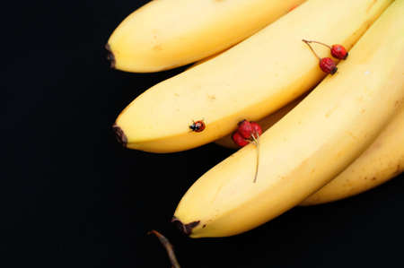 Bunch of bananas on black backgroundの写真素材