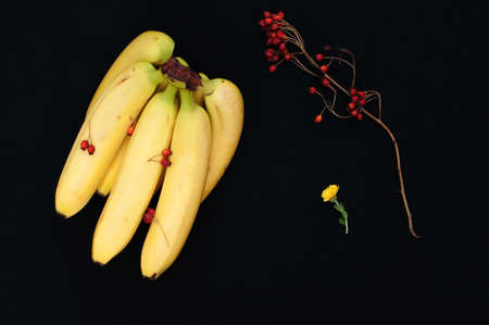 Bunch of bananas on black backgroundの写真素材