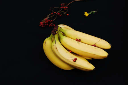 Bunch of bananas on black backgroundの写真素材