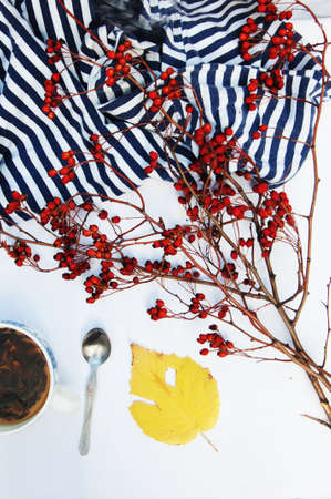 Branches with red berries hawthorn and white cup of tea on white backgroundの写真素材