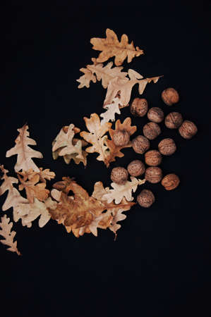 Dried walnuts with leaves isolated on the black background.の写真素材