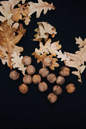 Dried walnuts with leaves isolated on the black backgroundの写真素材