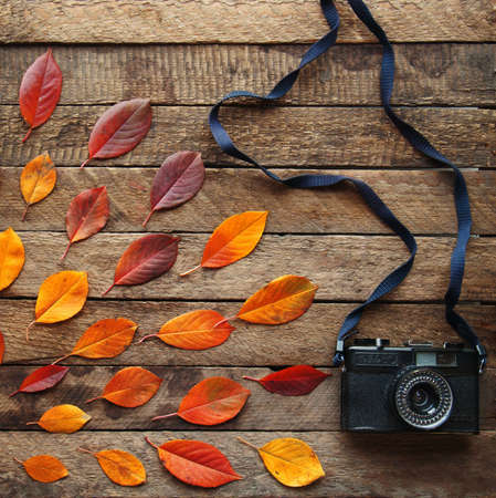 Autumn leaves and camera on wooden background, top viewの写真素材