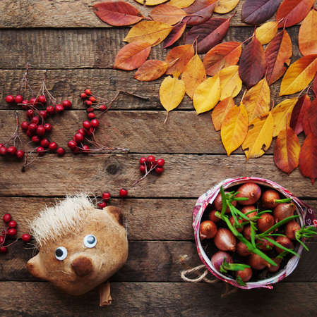autumn leaves on wooden background, top viewの写真素材