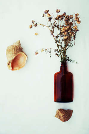 Beautiful purple flowers. Still Life. Bouquet of wild flowers in a glass vase. Nice flowers in the bottles. Table decorated with the flowers. Bouquet of flowers autumn in a vase.の写真素材