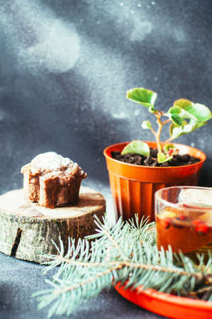 Freshly brewed tea in glass cup on blue background. Orange hot drink, selective focus.の写真素材