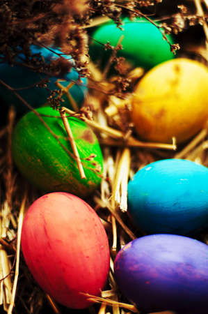Easter Composition with chicken Eggs on the Warm Wooden Background.