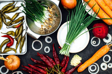 Onion, beet, pepper, garlic, carrot, cabbage ready to prepare salad. Detox and diet food.の写真素材