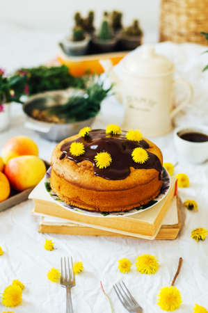 Traditional homemade chocolate cake. Rustic style and natural light.の写真素材