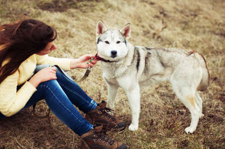 Delightful girl plays with a Siberian Husky.の写真素材
