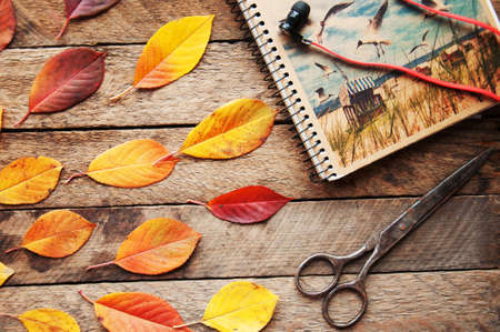 Composition with leaves. Autumn leaves on wooden background, top view, copy space. Autumn background, fall colors, autumn composition still life. Composition of autumn. leavesの写真素材