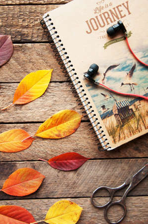 Composition with leaves. Autumn leaves on wooden background, top view, copy space. Autumn background, fall colors, autumn composition still life. Composition of autumn. leavesの写真素材