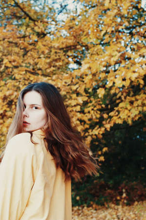 Freedom traveler woman. Beautiful young woman  outdoor. Hiker young woman  in summer at sunset. in the forest among , trees  rear viewの写真素材