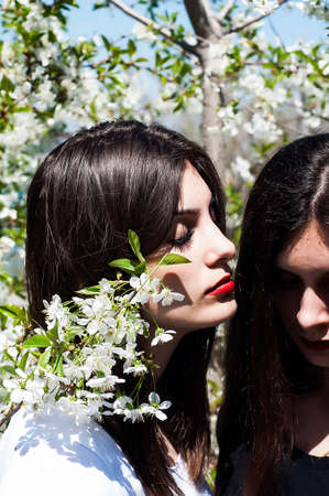 Portrait of beautiful young girls, sisters dressed in ernoe and white, on a background of a blossoming tree. Young beautiful slavonic girls in white and black posing.の写真素材