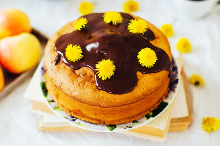Traditional homemade chocolate cake. Rustic style and natural light. Chocolate Mud Cake  on White...