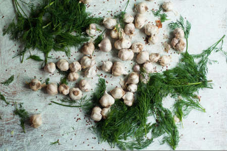 Garlic cloves on wooden white background. Garlic on the wooden backgroundの写真素材