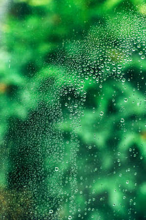 Drops of rain on a window glass.Through the window view of the garden . Rain drops on the windows....