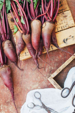 fresh beetroot on wooden surface. Fresh picked organic beetroot on old rustic wooden board. Fresh organic beet vegetable  on rustic wooden background. detox and diet food.の写真素材