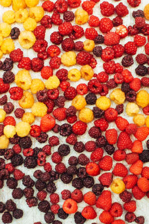 Fresh local raspberries. Fruits background Fresh local raspberries. Fruits backgroundの写真素材