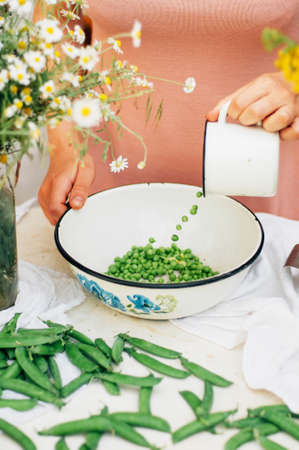 Woman podding fresh peas in the kitchen. Woman podding fresh peas in the kitchen. 
Fresh peas and pods. Large amount of fresh organic pea pods.の写真素材
