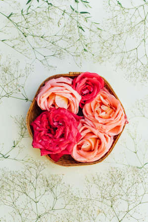 frame with pink roses, branches, leaves  isolated on white background. Flowers background. Roses on a white  tablecloth. overhead view.の写真素材