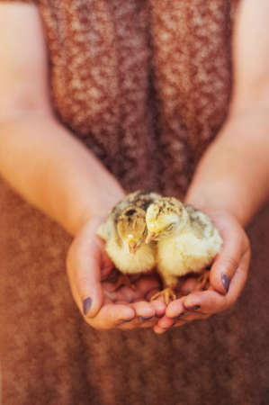 raspberries jam. Female hand making jam, on a rustic white table. Country  styling. Cooking delicious raspberries jam in kitchen. Prepared homemade orange raspberries jam over on kitchen. Rustic styleの写真素材