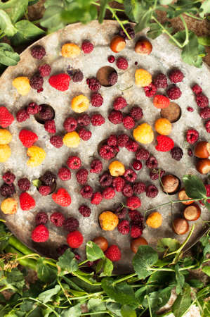 fresh berries. Red Fruits. Organic Berries on Platter.