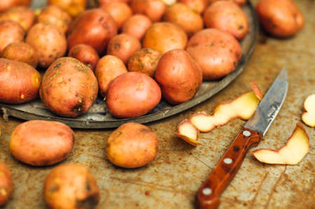 freshly dug potatoes from a garden. metal table with potatoes. Close up shot of  a basket with harvested potatosの写真素材