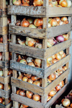 Organic Yellow onions in a basket. Shallots on wooden box.  Harvesting.の写真素材