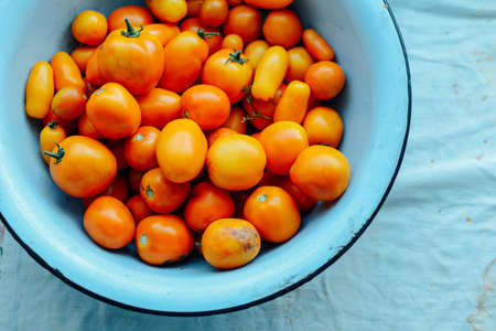 Tomato on wooden table. Freshly Picked red Tomatoes. Variation of tomatoes on wooden surface. Vegetables in the section. Harvesting. Healthy food from the garden.の写真素材