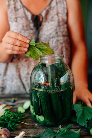 fresh colorful salad in a mason jar. Mason Jar with pickle cucumber. Pickle jars. Cucumbers ready to pickle.の写真素材