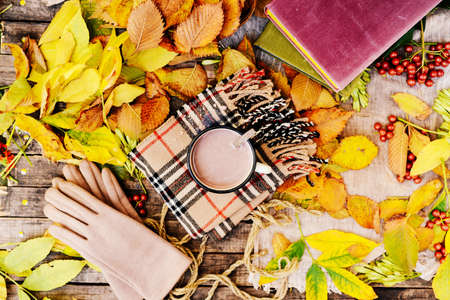 Warm knitted scarf and a book on a wooden tray. Peaceful Fall Fruit, Leaf, Acorn Still Life on...