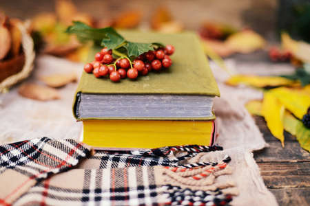 Warm knitted scarf and a book on a wooden tray. Peaceful Fall Fruit, Leaf, Acorn Still Life on Rustic . autumn still life with a cup of tea. Cup of tea with autumn leaves reflection on bookの写真素材