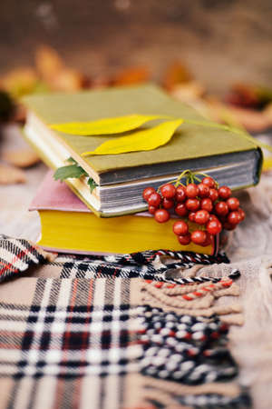 Warm knitted scarf and a book on a wooden tray. Peaceful Fall Fruit, Leaf, Acorn Still Life on Rustic . autumn still life with a cup of tea. Cup of tea with autumn leaves reflection on bookの写真素材