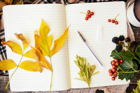 Warm knitted scarf and a book on a wooden tray. Peaceful Fall Fruit, Leaf, Acorn Still Life on Rustic . autumn still life with a cup of tea. Cup of tea with autumn leaves reflection on bookの写真素材