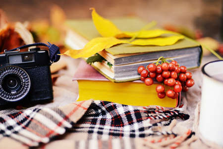 Warm knitted scarf and a book on a wooden tray. Peaceful Fall Fruit, Leaf, Acorn Still Life on Rustic . autumn still life with a cup of tea. Cup of tea with autumn leaves reflection on bookの写真素材