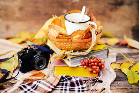Warm knitted scarf and a book on a wooden tray. Peaceful Fall Fruit, Leaf, Acorn Still Life on Rustic . autumn still life with a cup of tea. Cup of tea with autumn leaves reflection on bookの写真素材