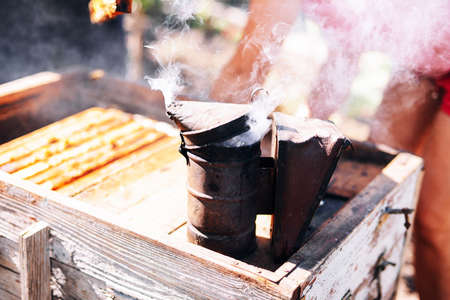 Frames of a bee hive. Beekeeper harvesting honey. The bee smoker is used to calm bees before frame removal. Beekeeper Inspecting Bee Hiveの写真素材