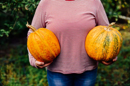 ripe, organic, orange pumpkin in the hands. Sunny fall day. A young woman holds in her hands a big orange pumpkin crop yields collected from his garden.  Fancy woman on Halloween in the forestの写真素材