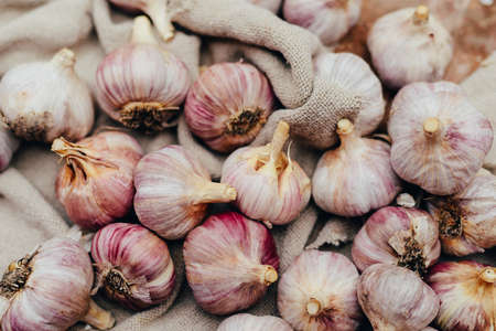 Close-up garlic bulbs and garlic cloves on wodeen background. Garlic. Fresh garlic. Red garlic....