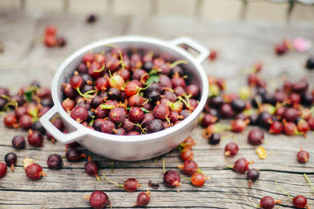Fresh gooseberries in bowl on wooden background. Top view.の写真素材