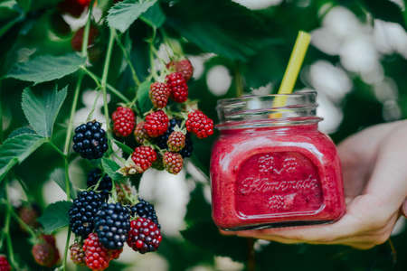 Assorted fruit shakes on white table. Smoothie concept. Selection of colorful smoothies on rustic wood background. Freshly blended fruit smoothies of various colors の写真素材