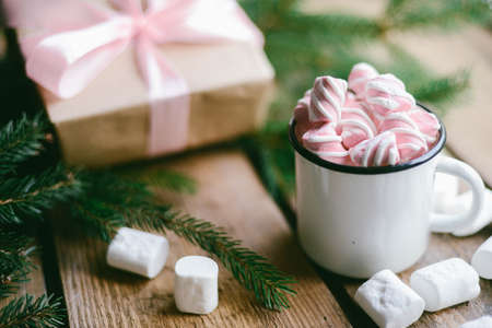 hot chocolate with mini marshmallows cinnamon winter drinkの写真素材