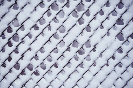 Beautiful winter woods, close up tree brunches covered with snow on white natural backgroundの写真素材