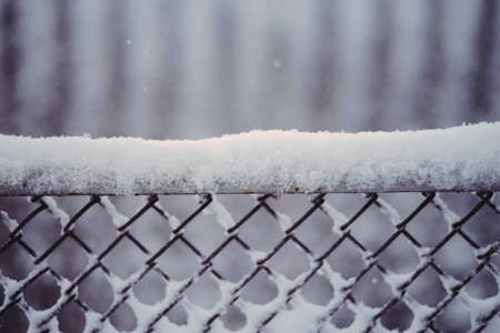 Beautiful winter woods, close up tree brunches covered with snow on white natural backgroundの写真素材